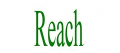 ʲôREACH֤ƶ