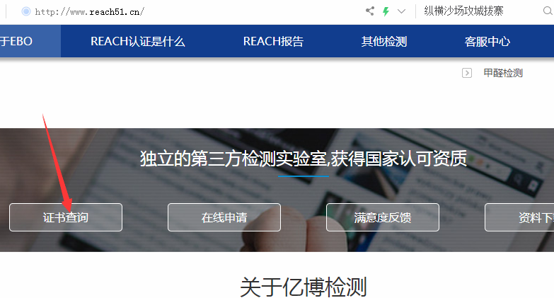 REACH报告查询