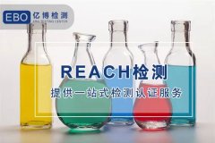 REACH¼ĿREACH209