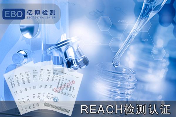 REACH¼17 2005/84/ECָڱ
