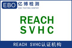 REACHҪ⼸-REACH SVHC240